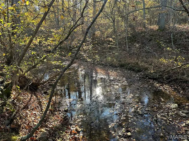 $70,000 | 0 County Road 4, Belleview, MO 63623