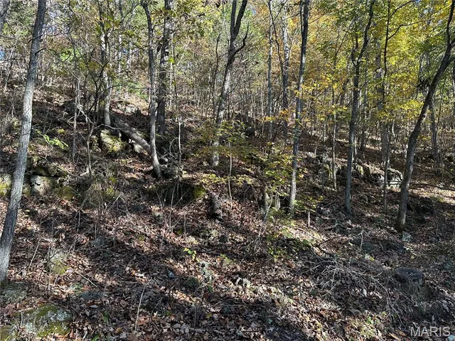 $70,000 | 0 County Road 4, Belleview, MO 63623