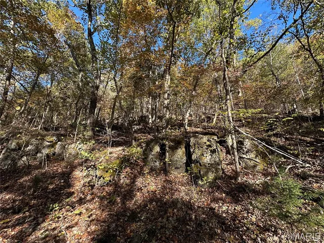 $70,000 | 0 County Road 4, Belleview, MO 63623