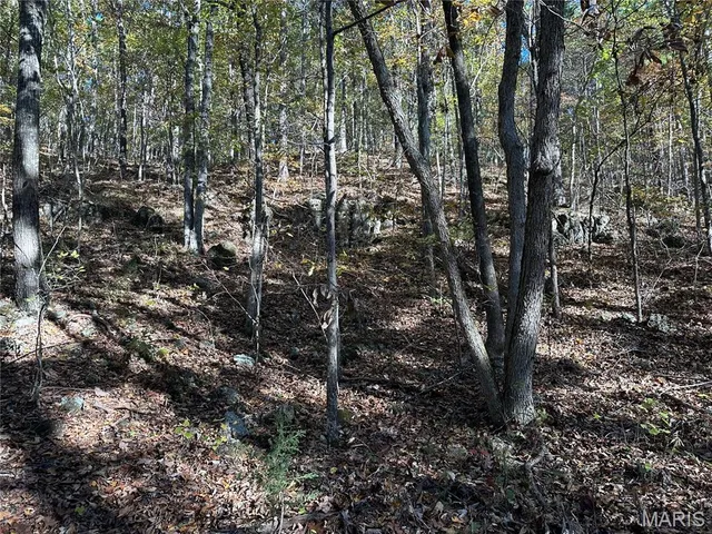 $70,000 | 0 County Road 4, Belleview, MO 63623