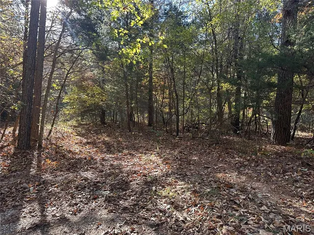 $70,000 | 0 County Road 4, Belleview, MO 63623