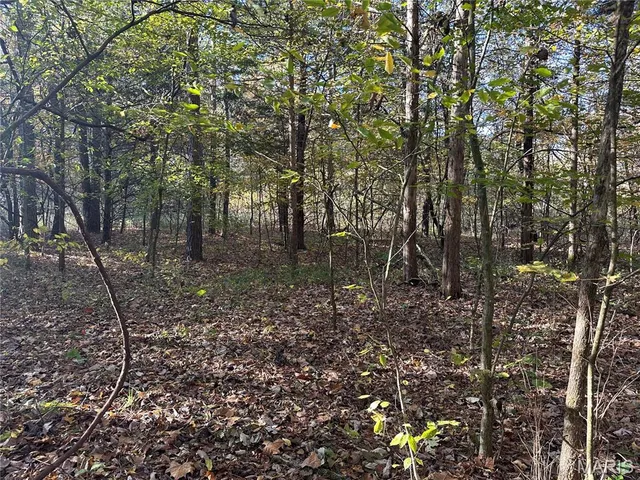 $70,000 | 0 County Road 4, Belleview, MO 63623