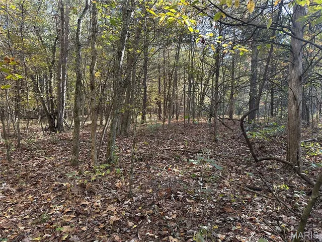 $70,000 | 0 County Road 4, Belleview, MO 63623