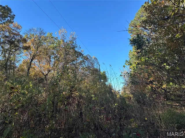 $70,000 | 0 County Road 4, Belleview, MO 63623