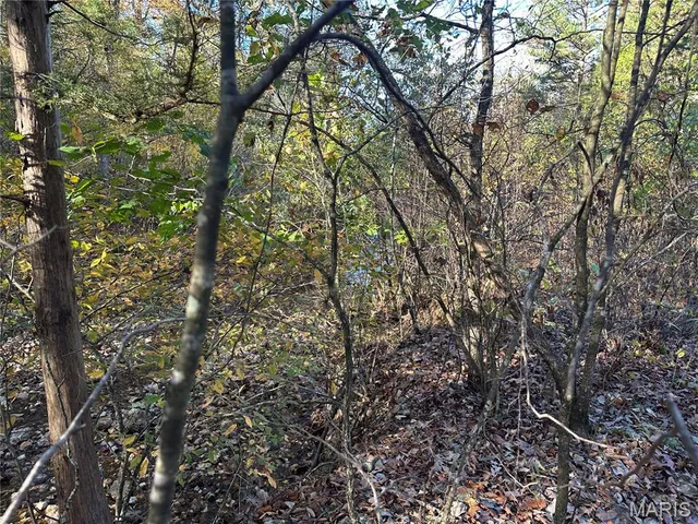 $70,000 | 0 County Road 4, Belleview, MO 63623