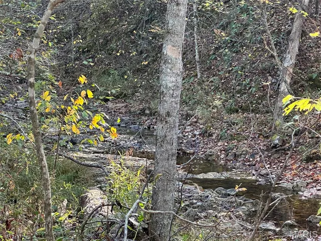 $70,000 | 0 County Road 4, Belleview, MO 63623