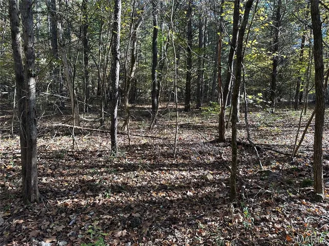 $70,000 | 0 County Road 4, Belleview, MO 63623