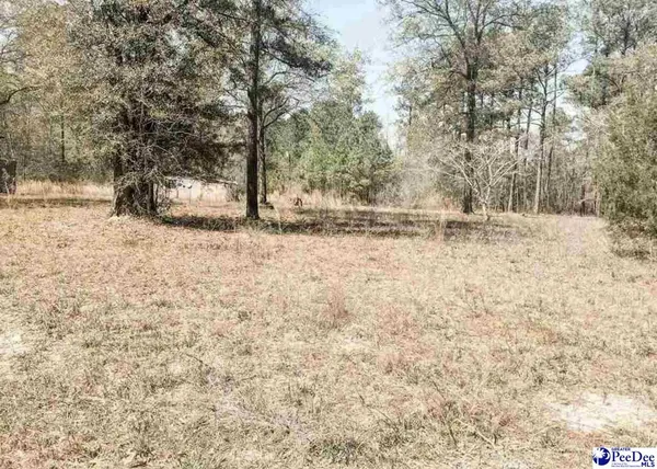 $28,900 | 6325 Cartwheel Road, Mullins, SC 29574