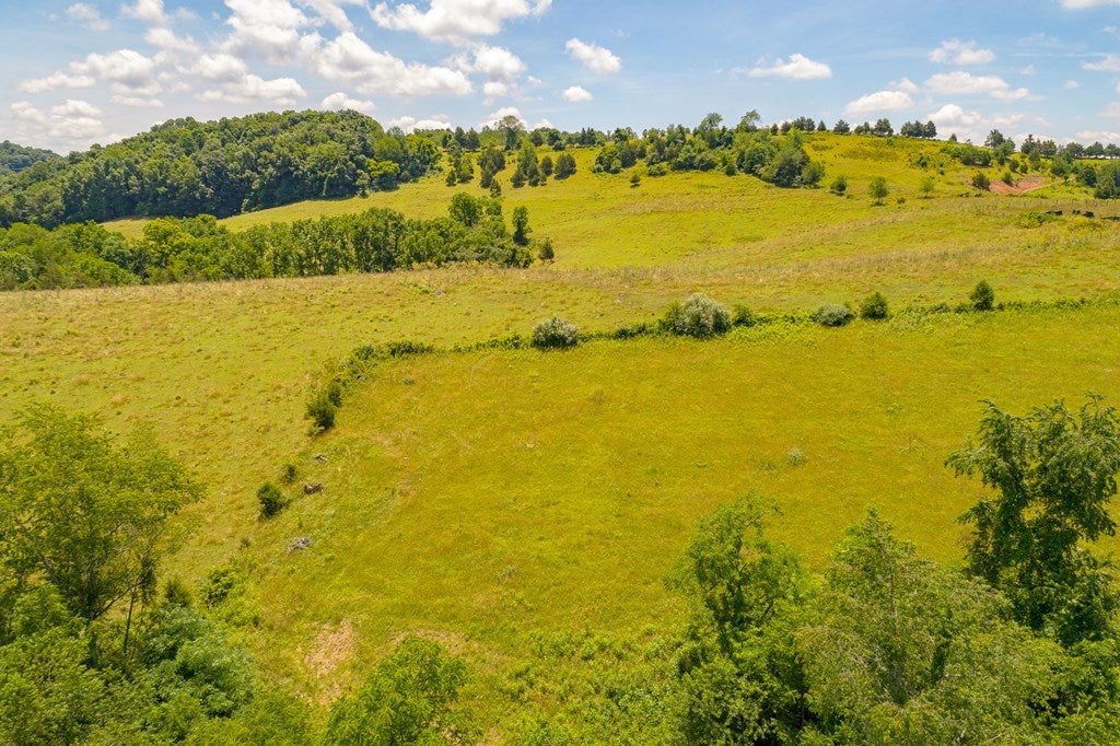Tbd Pine Run Road, Unit 2 3 4&5 Draper, VA 24324 - Photo 37 of 41 Gallery Image 37