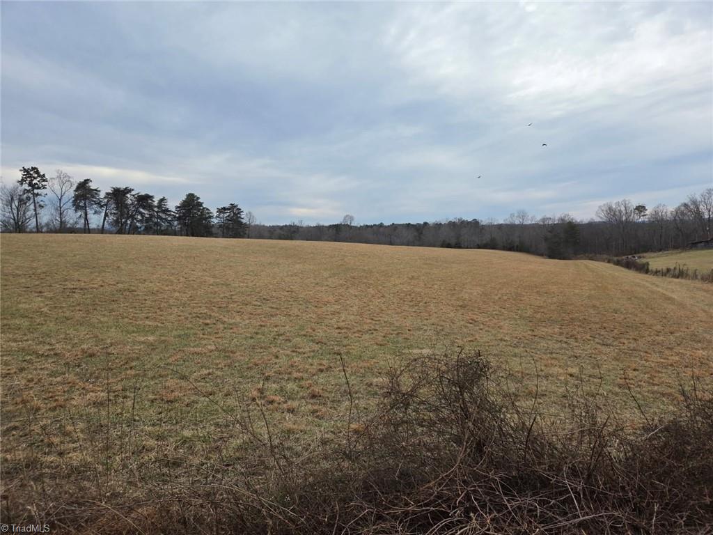 0 Locust Grove Road Westfield, NC 27053 - Photo 5 of 9