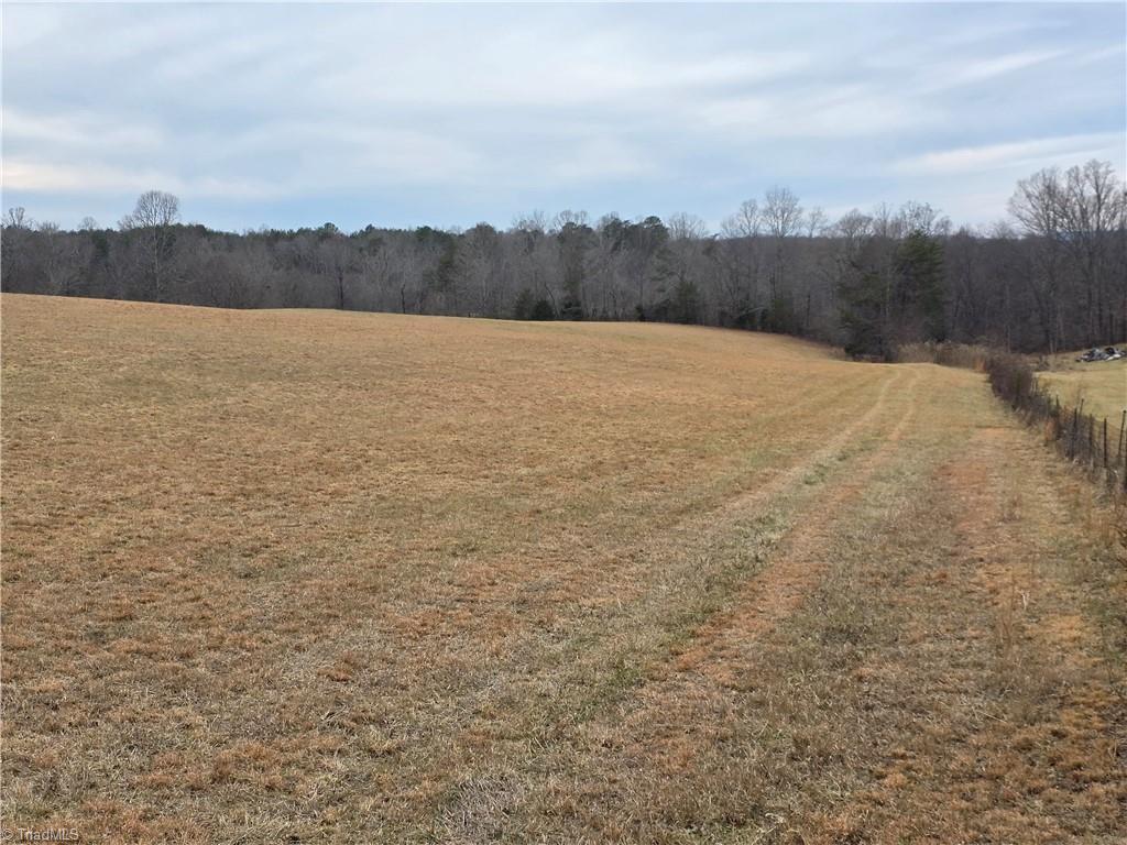 0 Locust Grove Road Westfield, NC 27053 - Photo 6 of 9