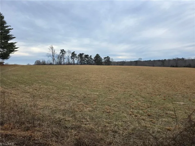 $22,500 | 0 Locust Grove Road, Westfield, NC 27053