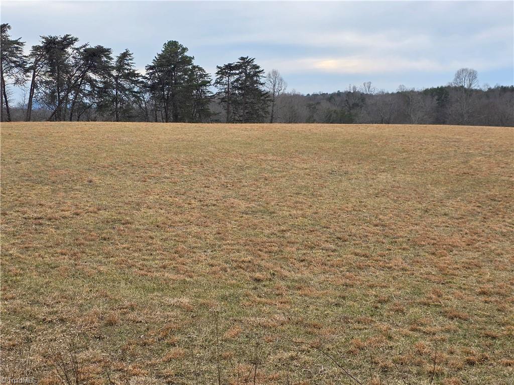 0 Locust Grove Road Westfield, NC 27053 - Photo 8 of 9