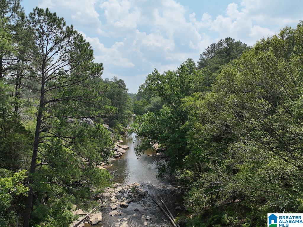11 11 Foot Road Oakman, AL 35579 - Photo 17 of 25