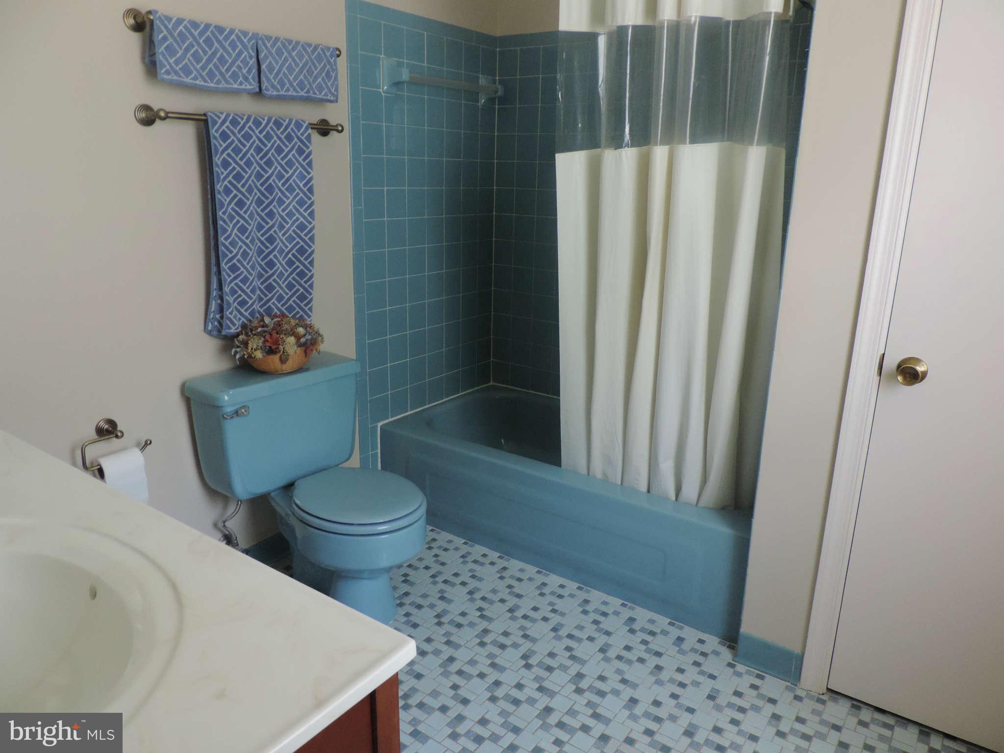 7002 Flax Street Springfield, VA 22152 - Photo 14 of 23 Bath Master
