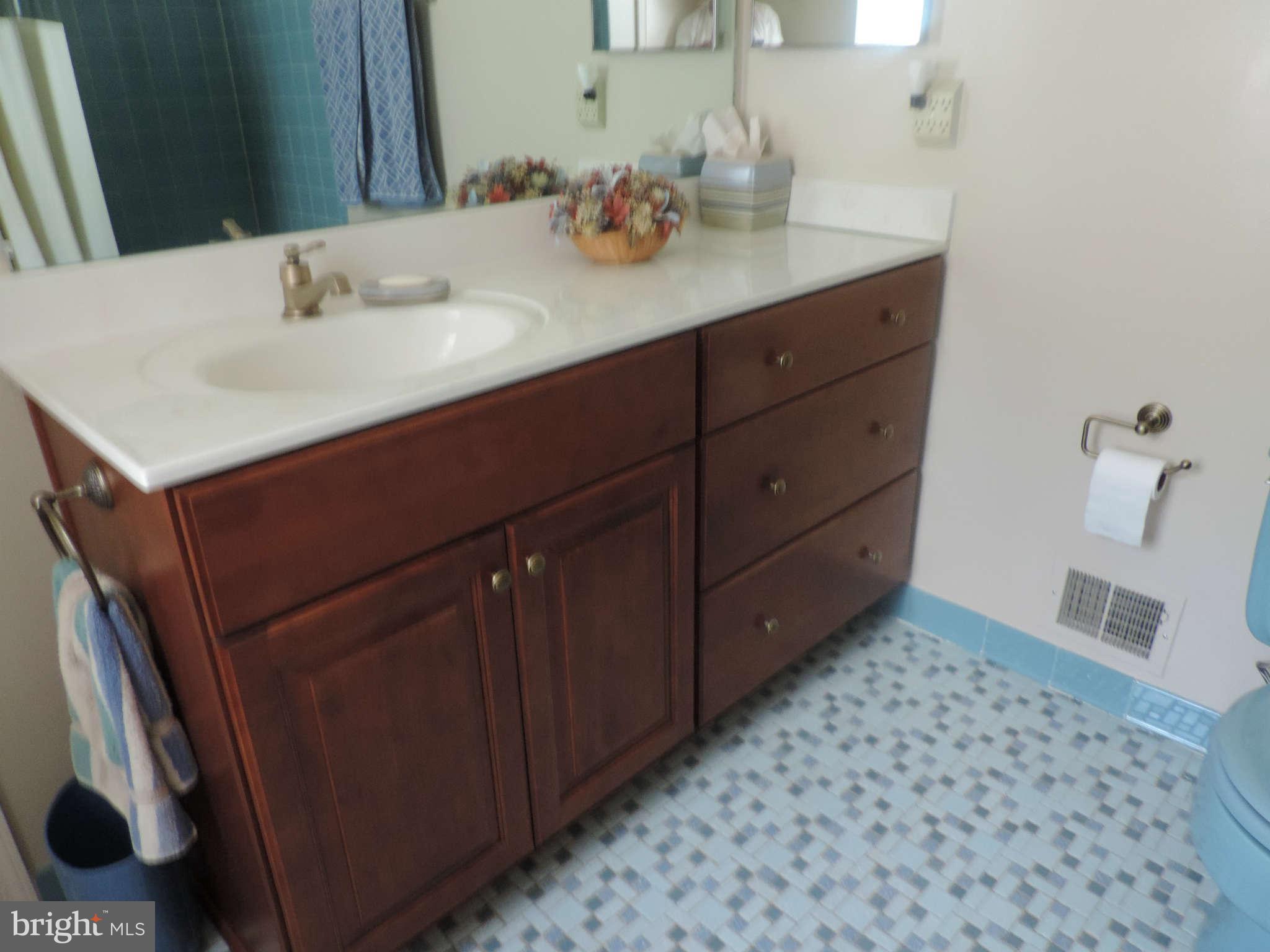 7002 Flax Street Springfield, VA 22152 - Photo 15 of 23 Bath Master