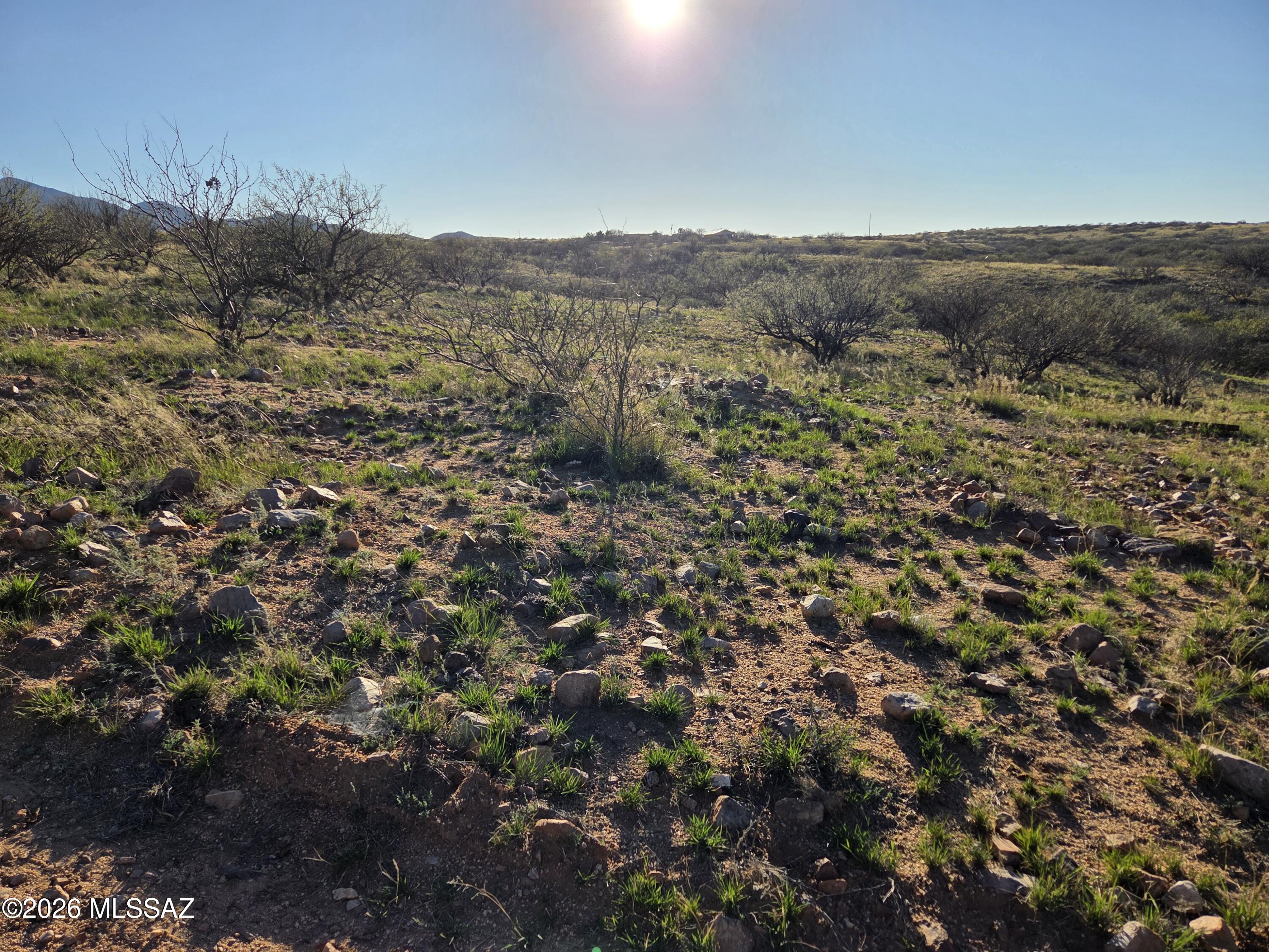 West Canary Spring Road Benson, AZ 85602 - Photo 5 of 10 20260303_170521