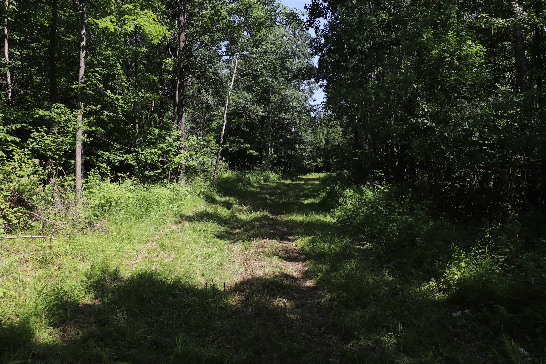 S11305 Kempton Road Augusta, WI 54722 - Photo 7 of 57