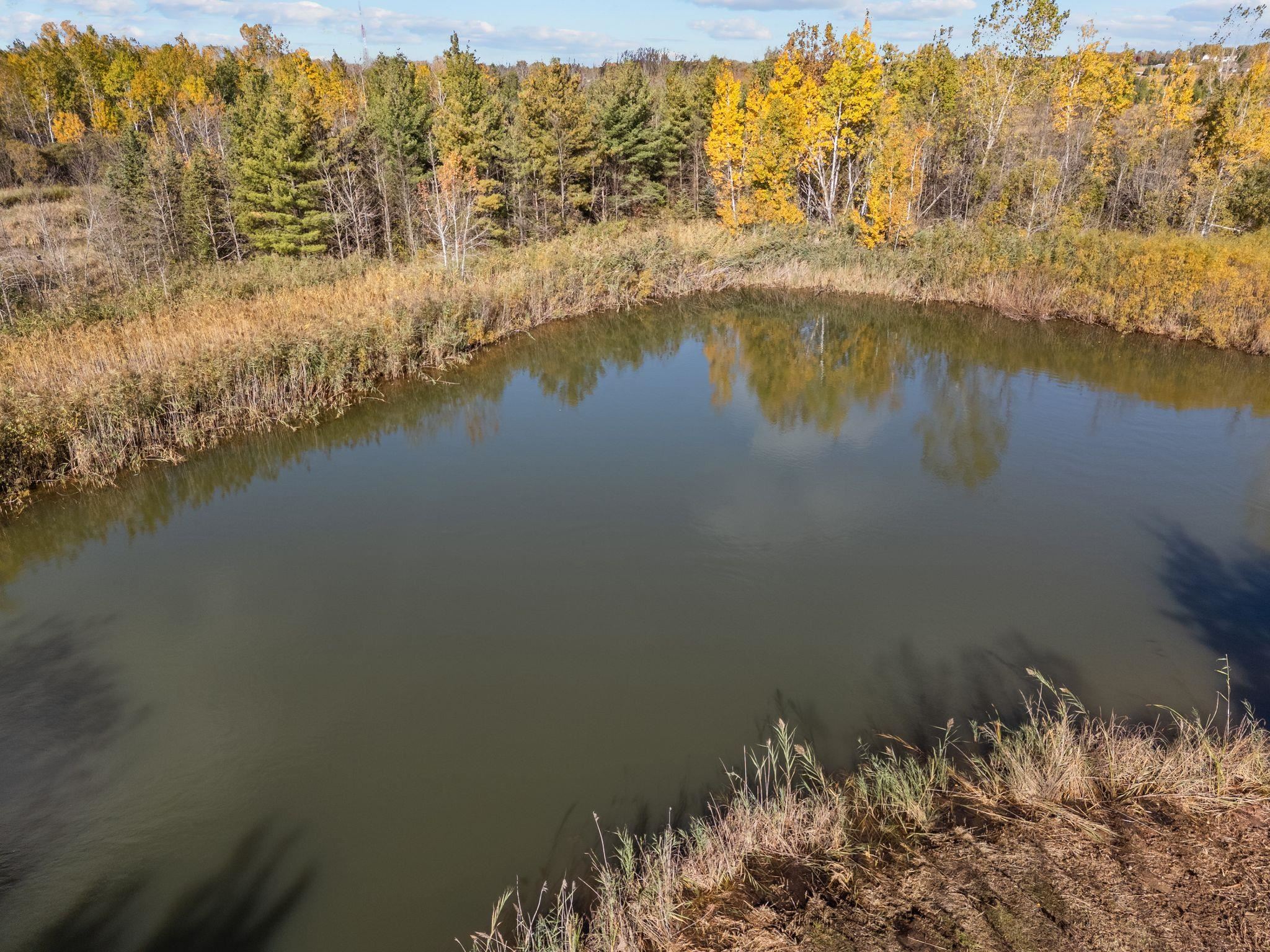 Krueger Road Black Creek, WI 54106 - Photo 13 of 23