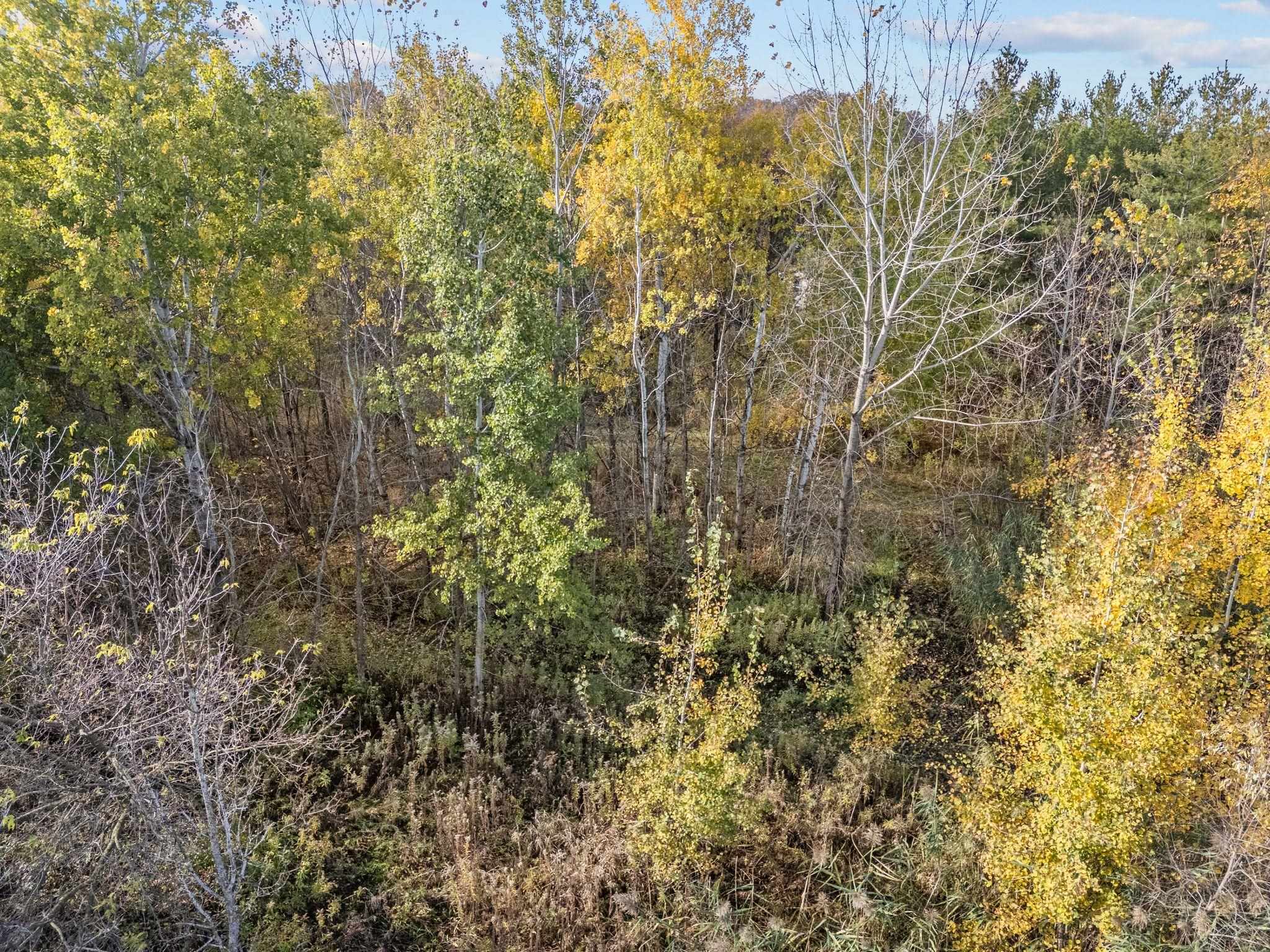 Krueger Road Black Creek, WI 54106 - Photo 16 of 23