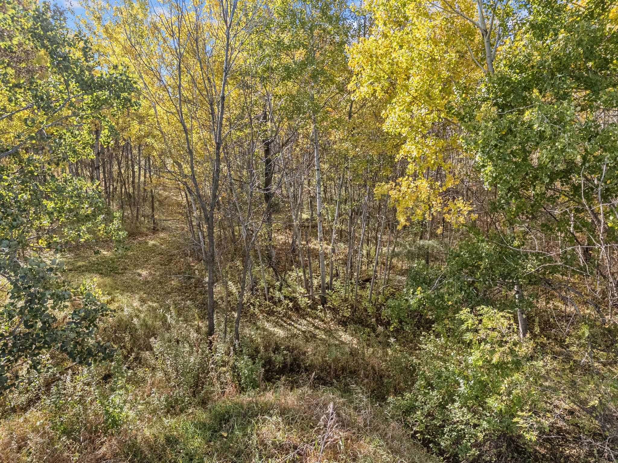Krueger Road Black Creek, WI 54106 - Photo 19 of 23