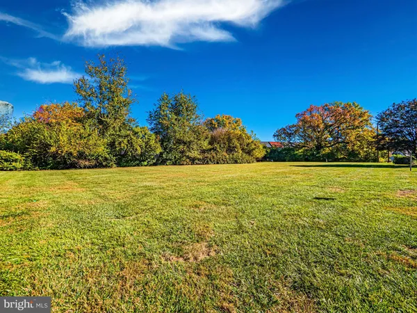a view of a yard with a house in the background