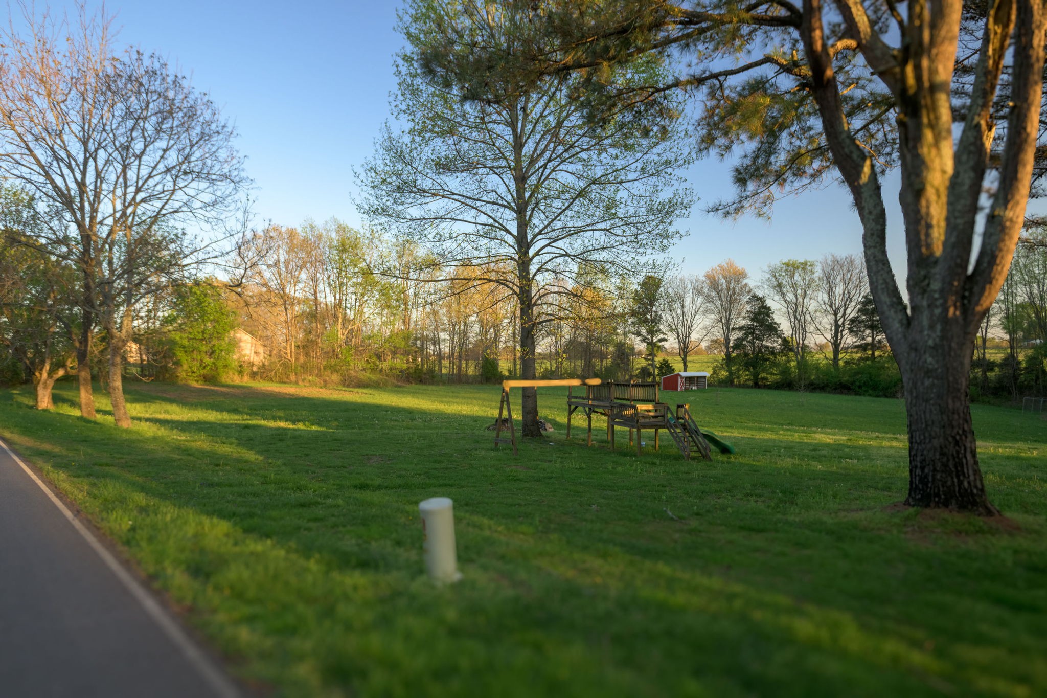 849 Jack Porter Road Lafayette, TN 37083 - Photo 15 of 56 a view of a park with large trees