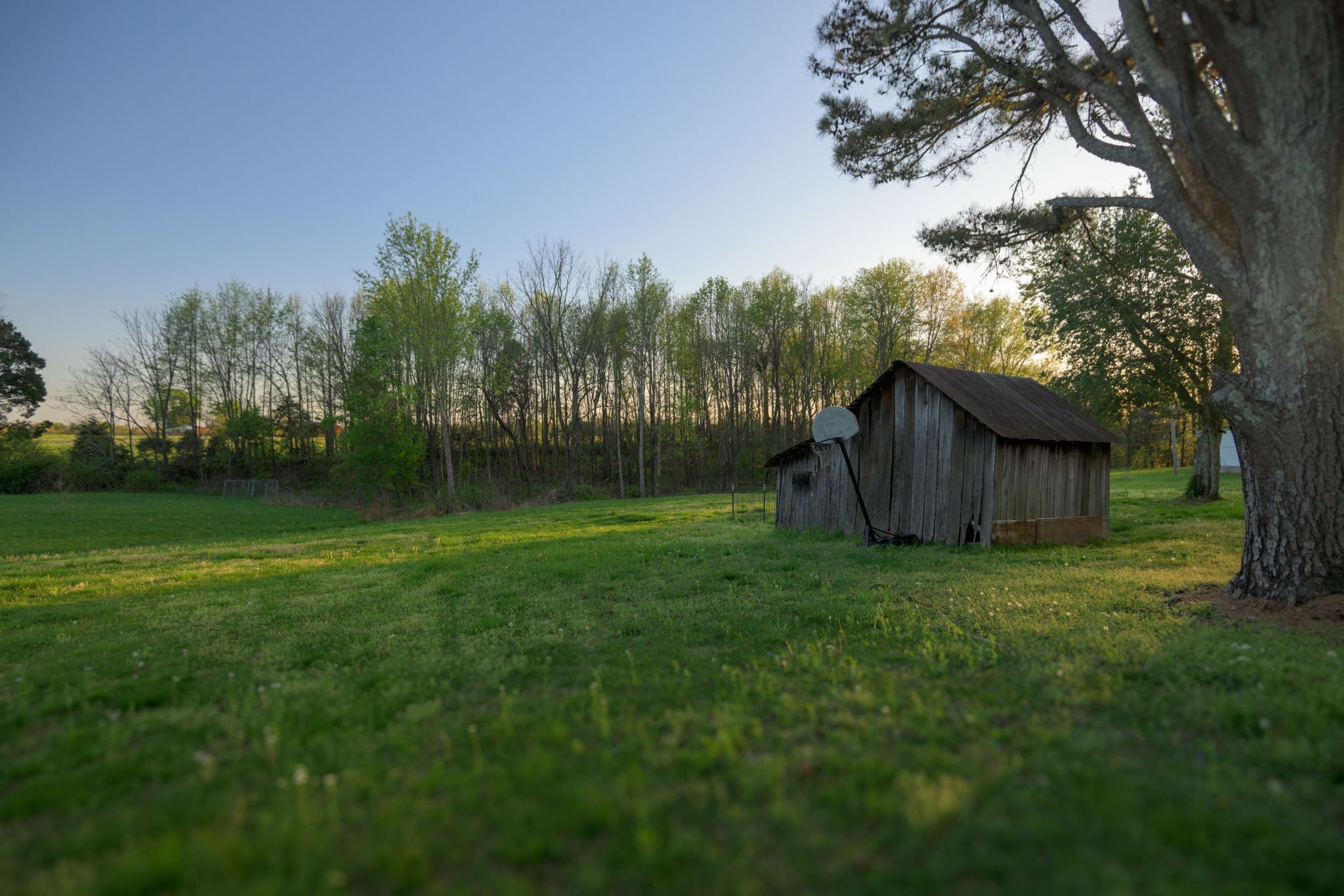849 Jack Porter Road Lafayette, TN 37083 - Photo 16 of 56 a backyard of a house with lots of green space