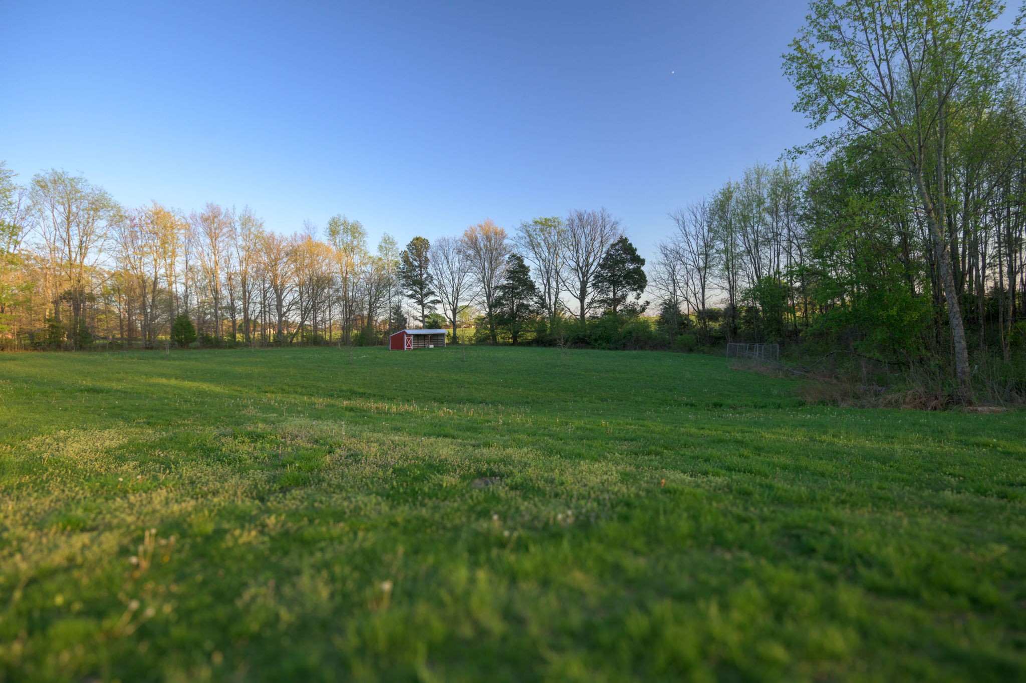 849 Jack Porter Road Lafayette, TN 37083 - Photo 52 of 56 a view of a grassy field with trees in the background