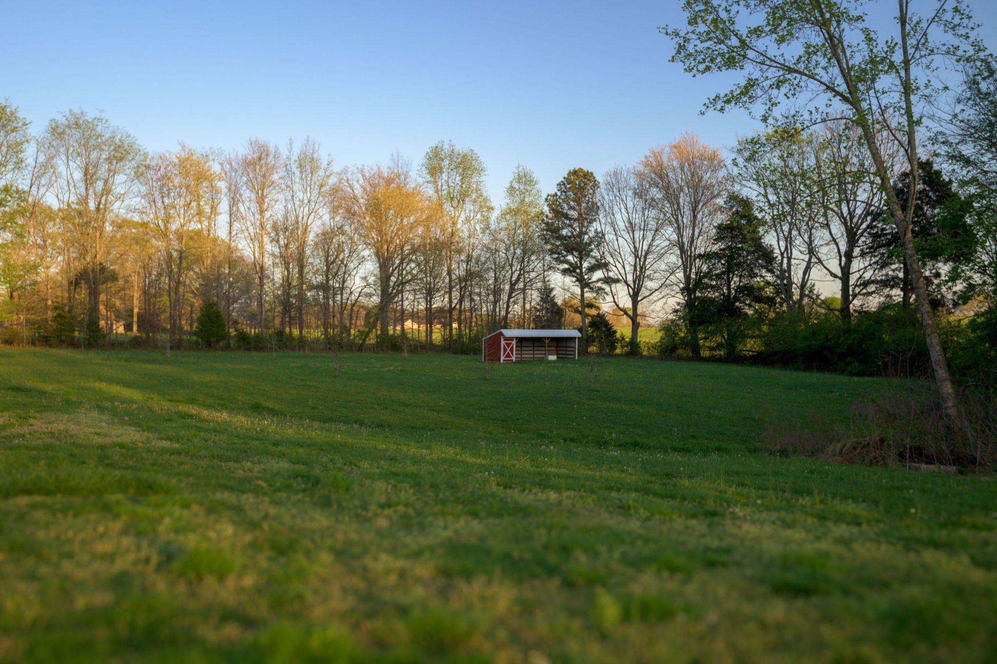 849 Jack Porter Road Lafayette, TN 37083 - Photo 53 of 56 a view of a green field with trees in the background