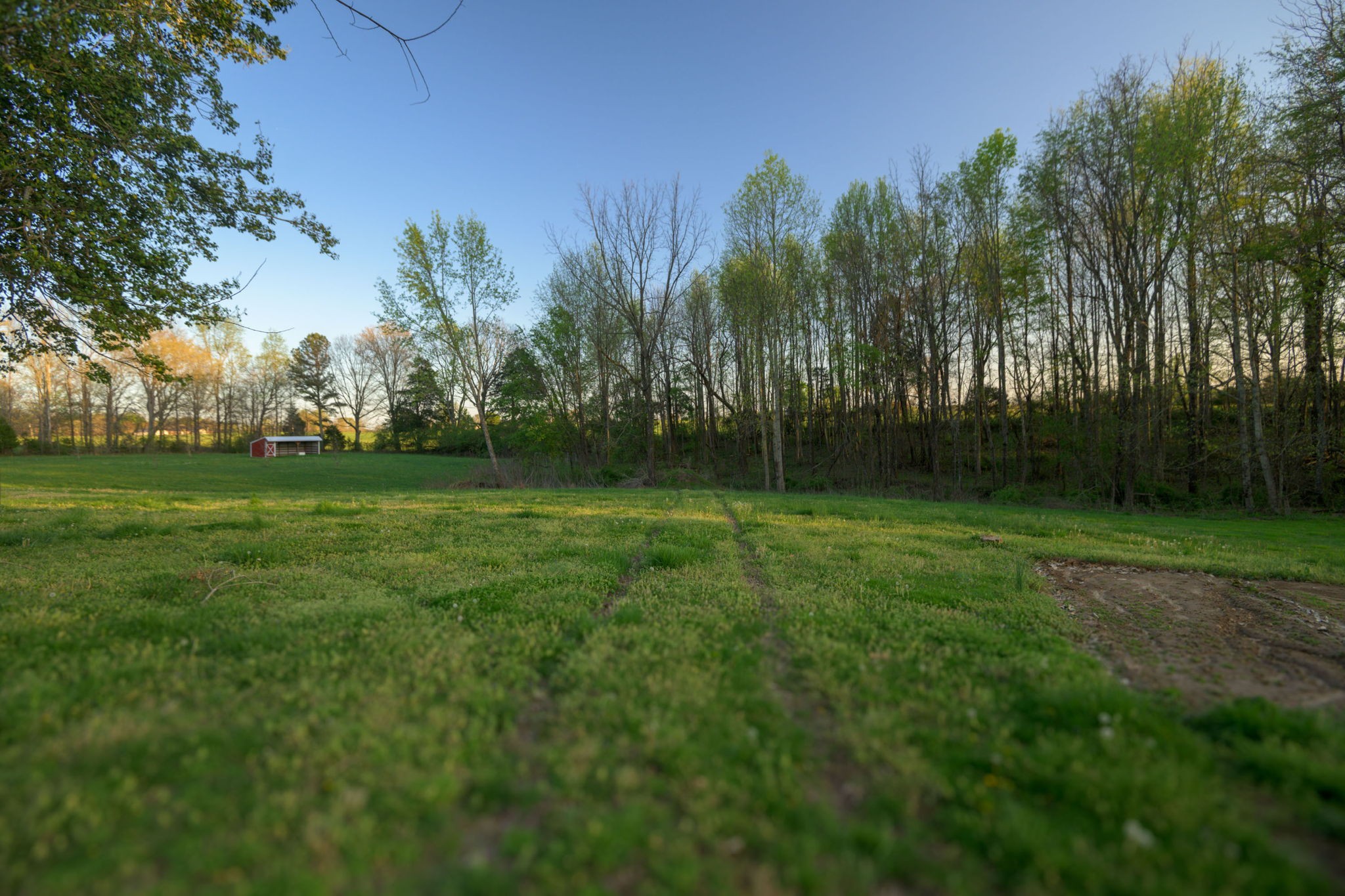 849 Jack Porter Road Lafayette, TN 37083 - Photo 54 of 56 a backyard of a house with lots of green space