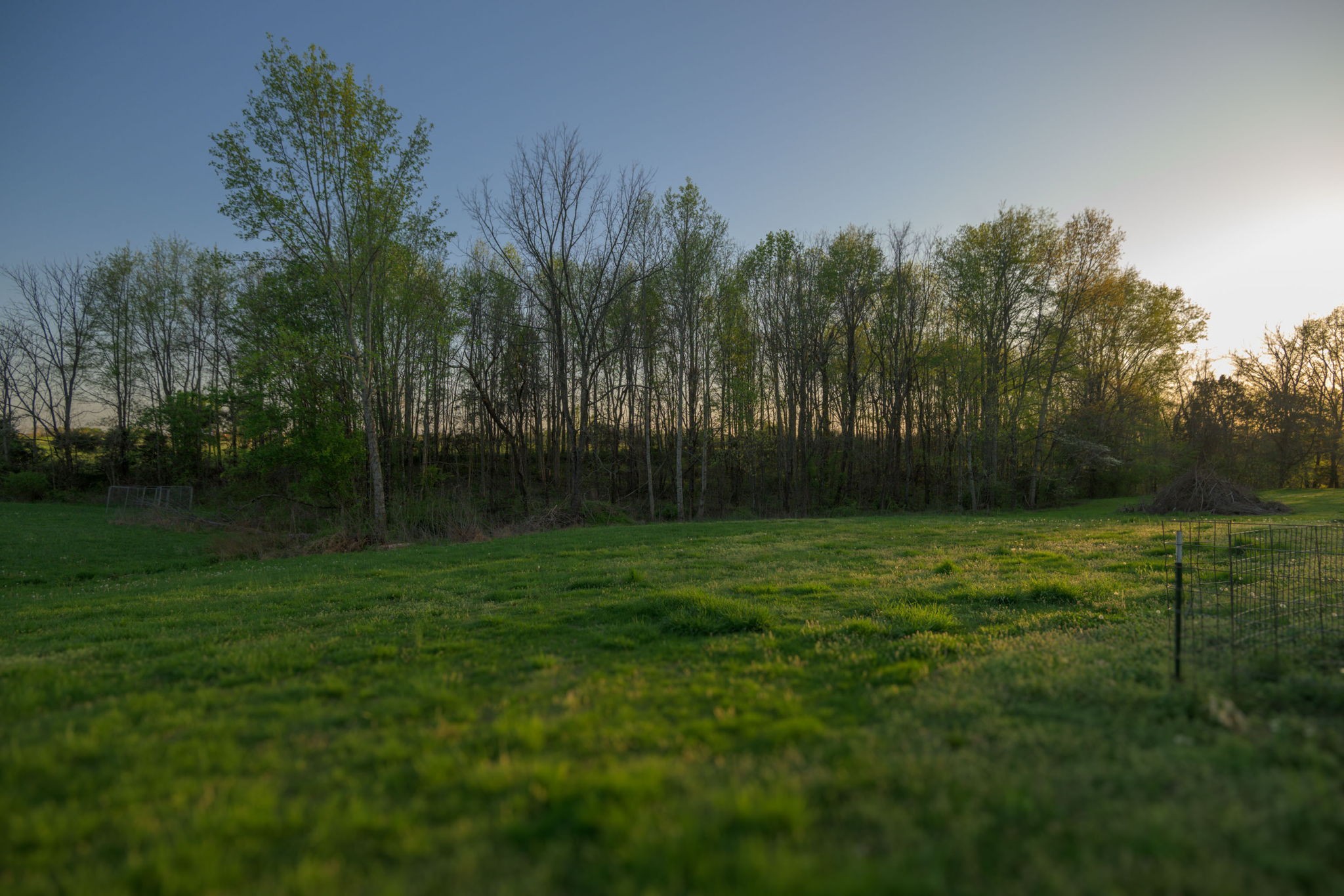 849 Jack Porter Road Lafayette, TN 37083 - Photo 56 of 56 a view of outdoor space with deck and yard