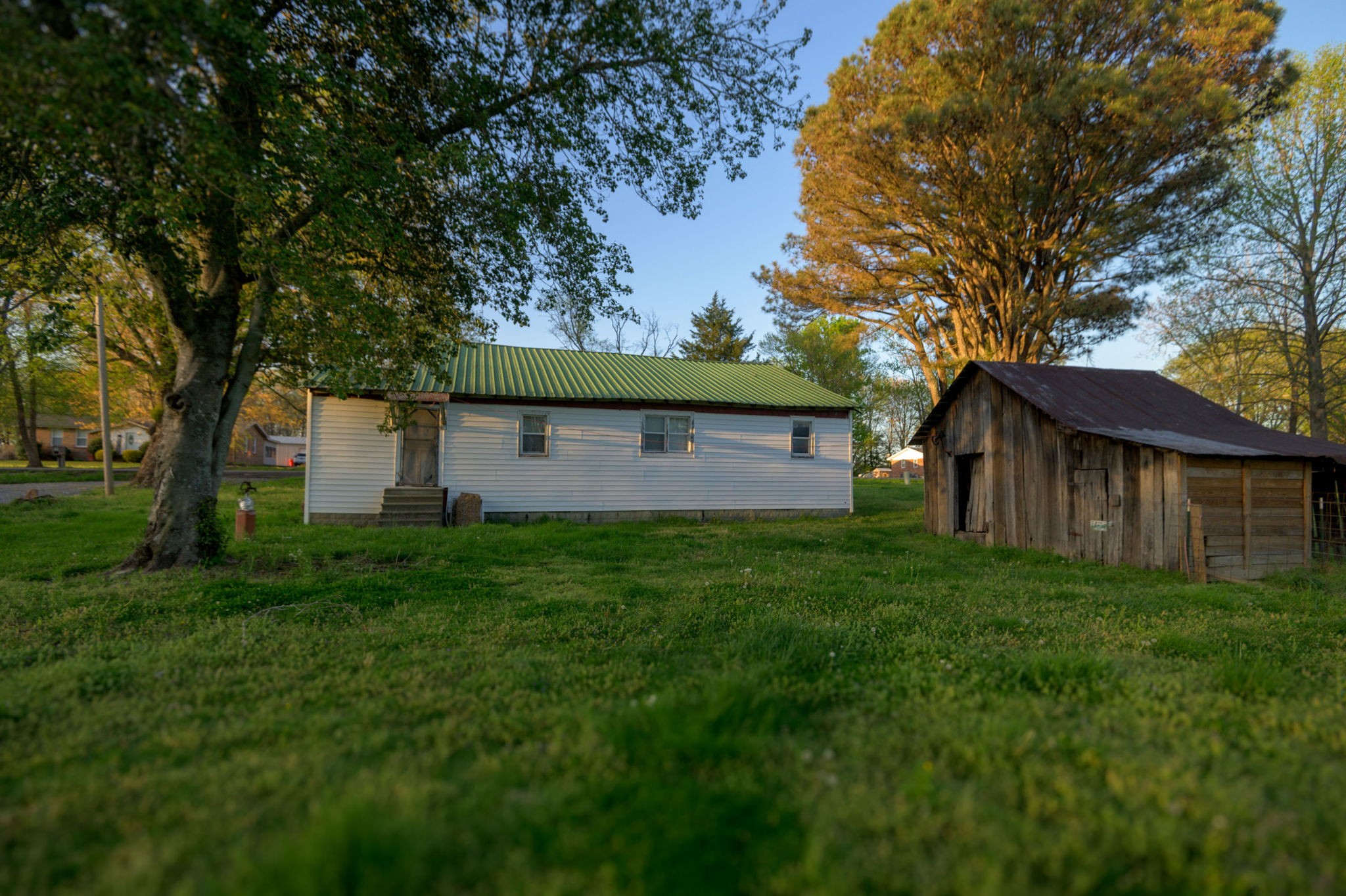 849 Jack Porter Road Lafayette, TN 37083 - Photo 8 of 56 a view of a backyard with large trees