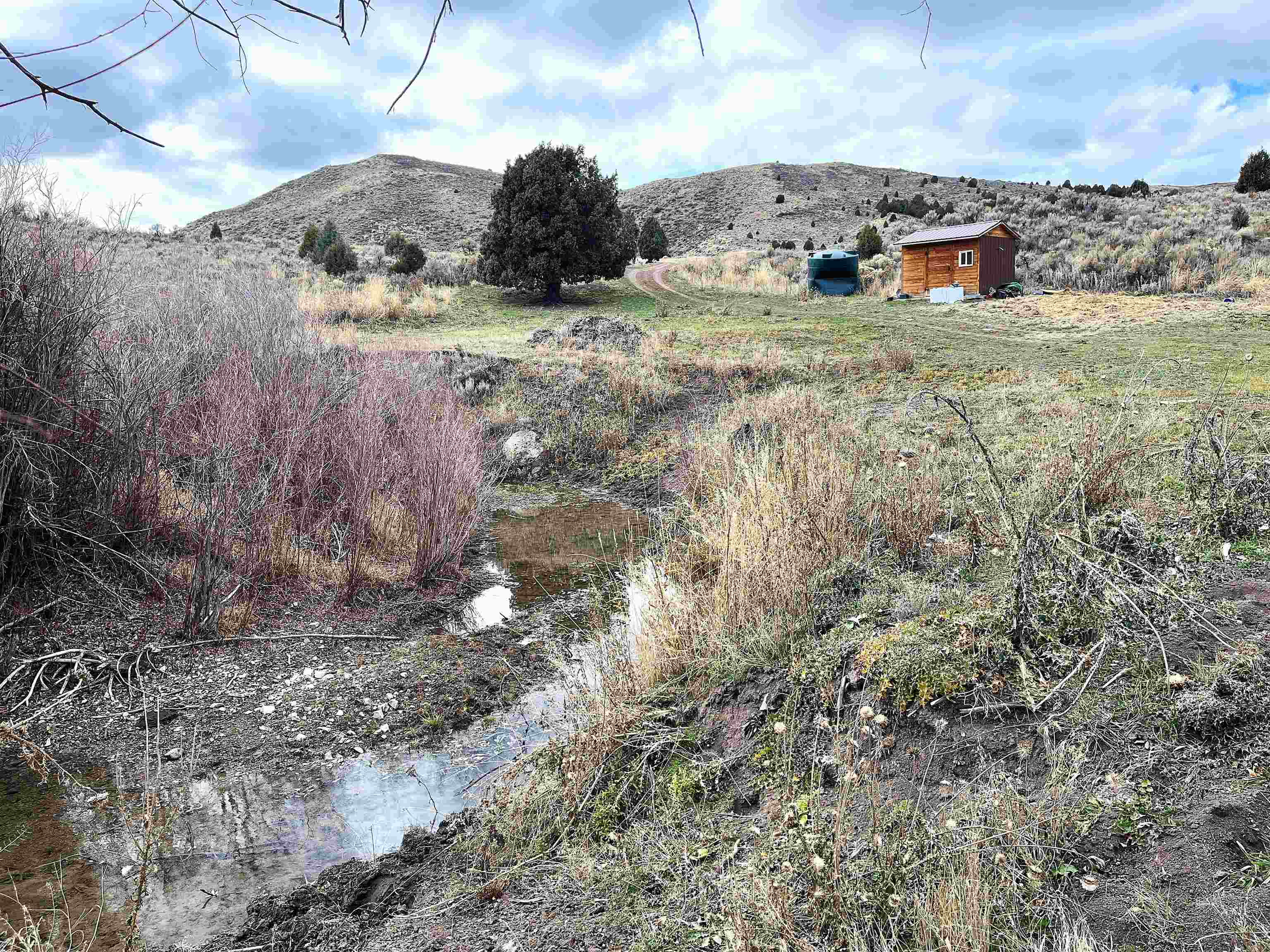 0 Dan Creek Road Firth, ID 83236 - Photo 13 of 50 Gallery Image 13