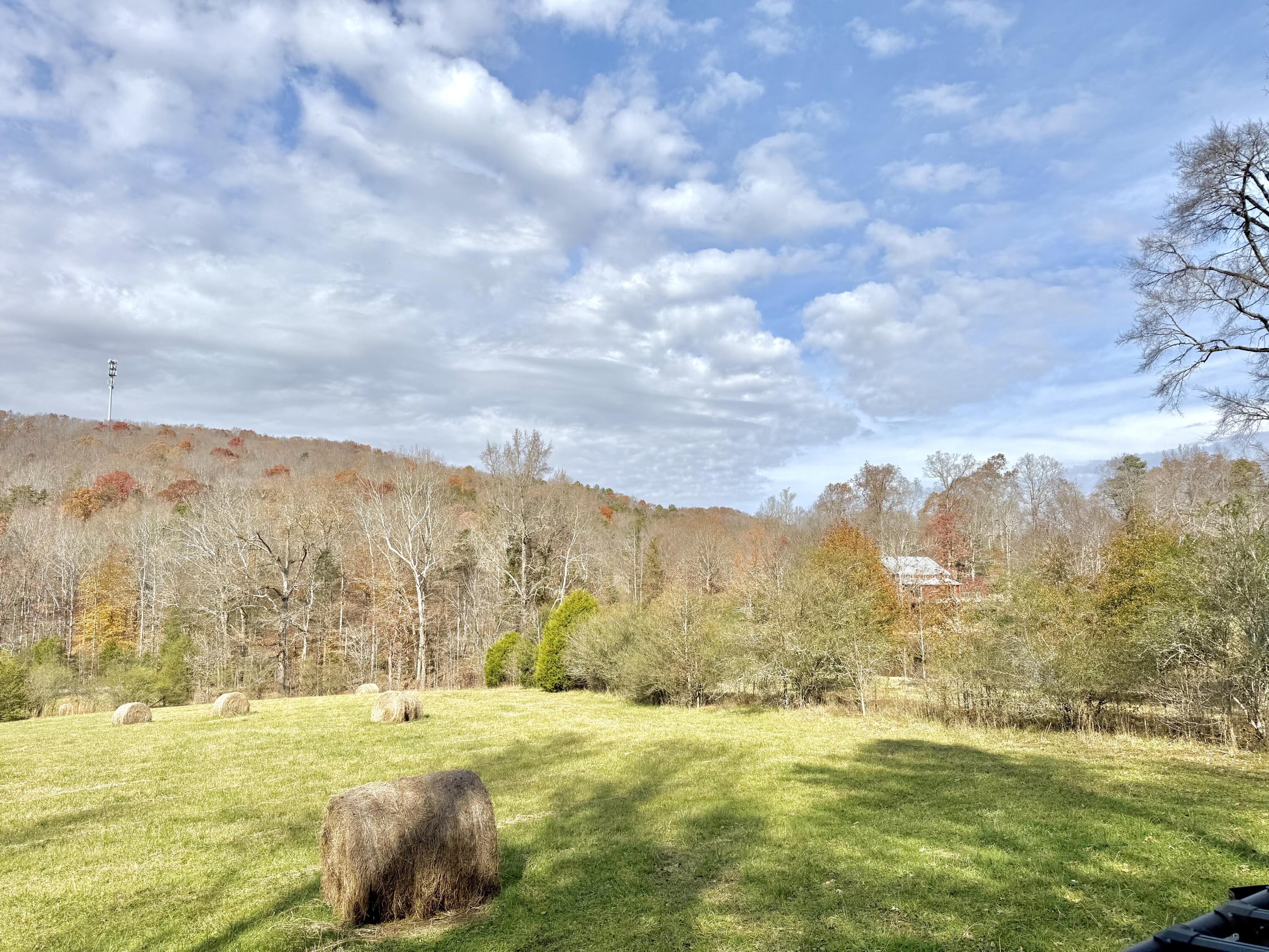 6461 Highway 30 Decatur, TN 37322 - Photo 59 of 66 IMG_6707