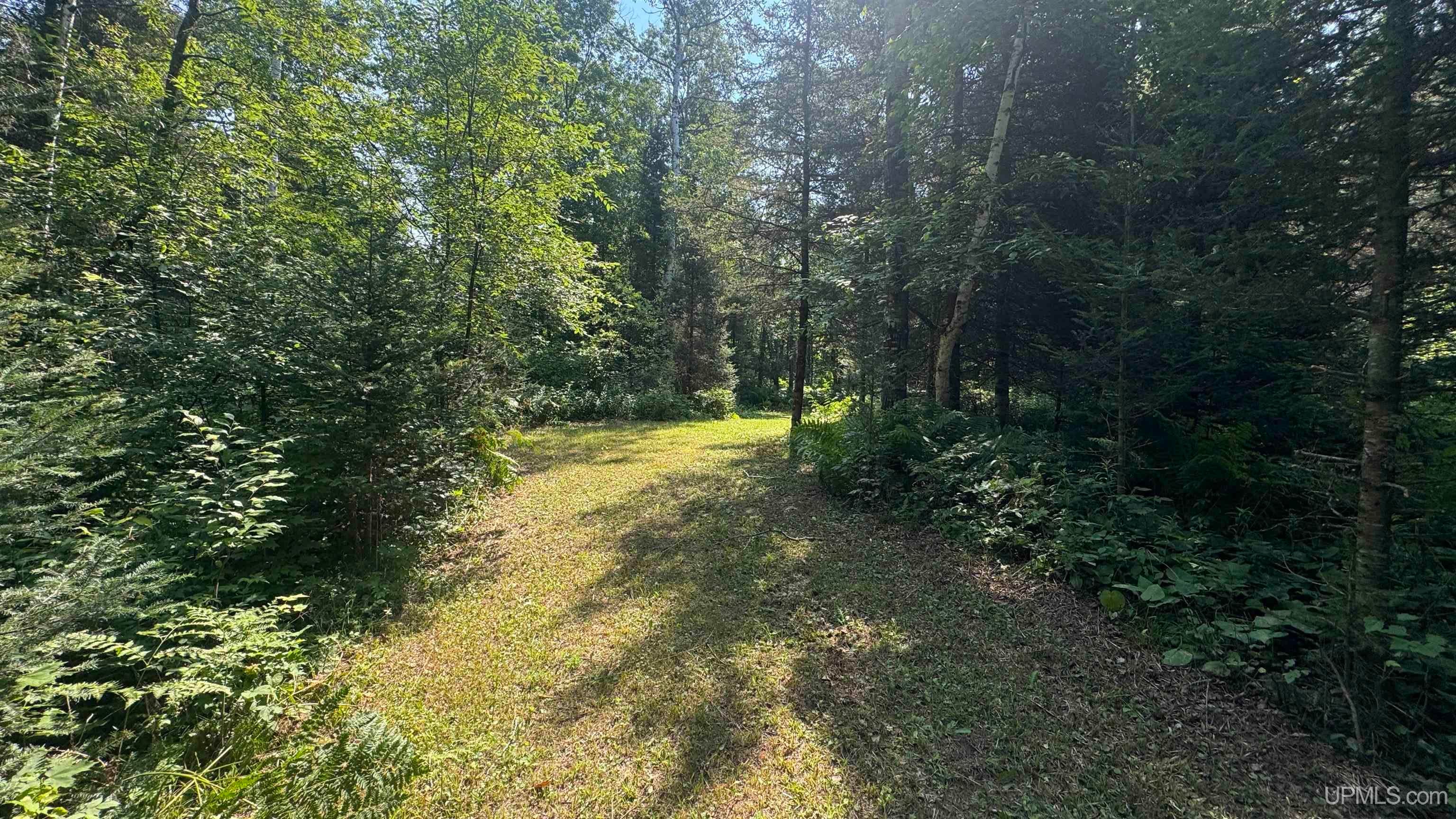 357 Premo Creek Road Crystal Falls, MI 49920 - Photo 27 of 30 Gallery Image 27