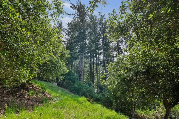 $3,350,000 | 12 Chaparral Lane, San Geronimo, CA 94963