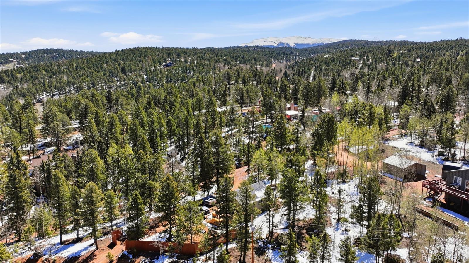 747 Trout Haven Road Florissant, CO 80816 - Photo 11 of 40