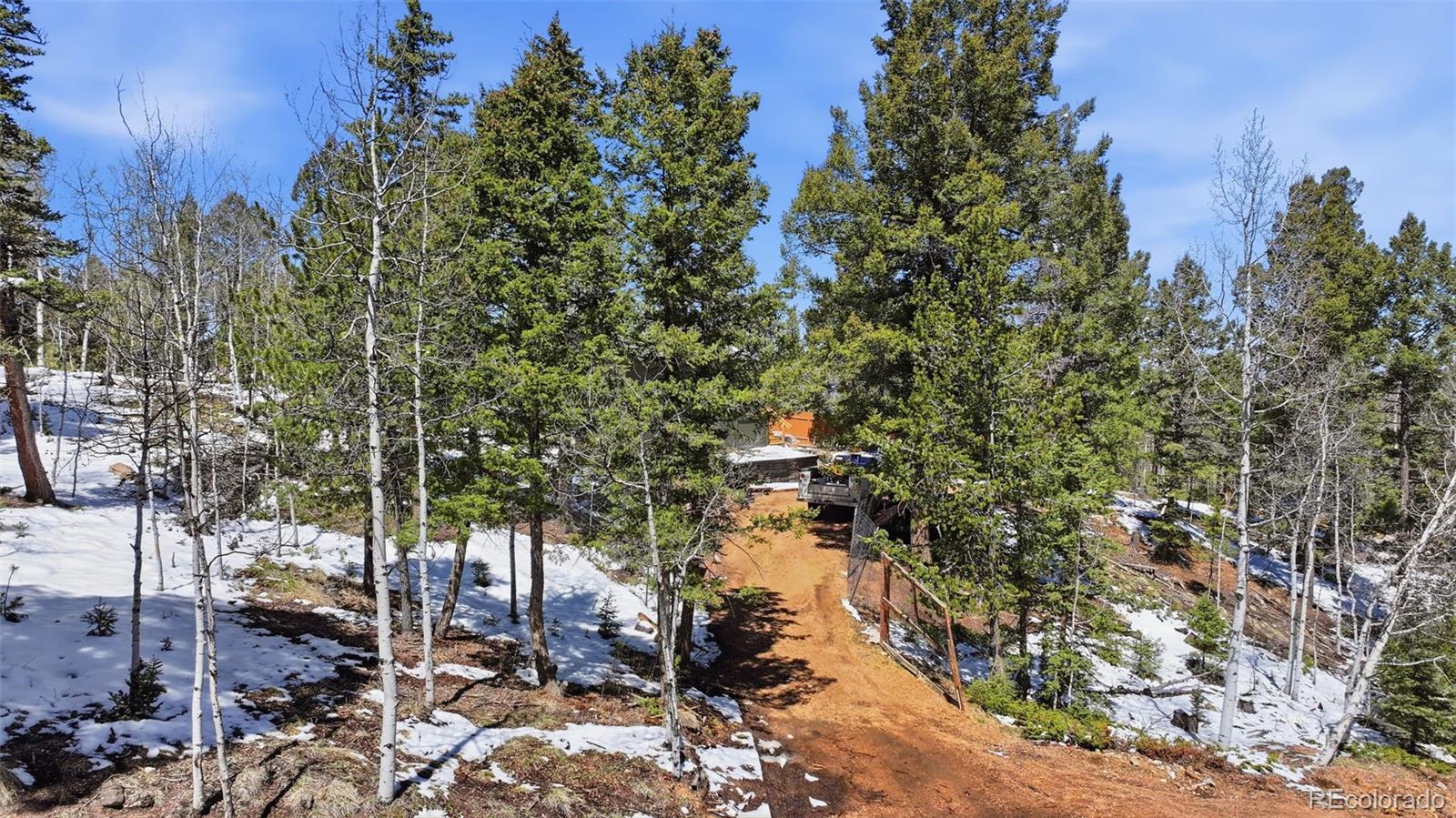 747 Trout Haven Road Florissant, CO 80816 - Photo 16 of 40