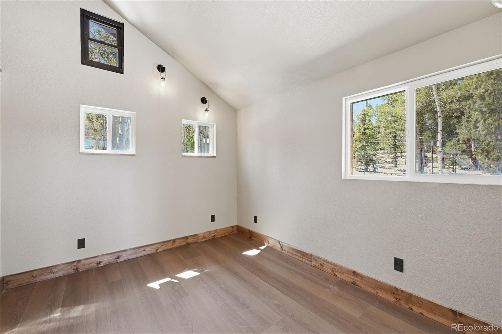 747 Trout Haven Road Florissant, CO 80816 - Photo 33 of 40