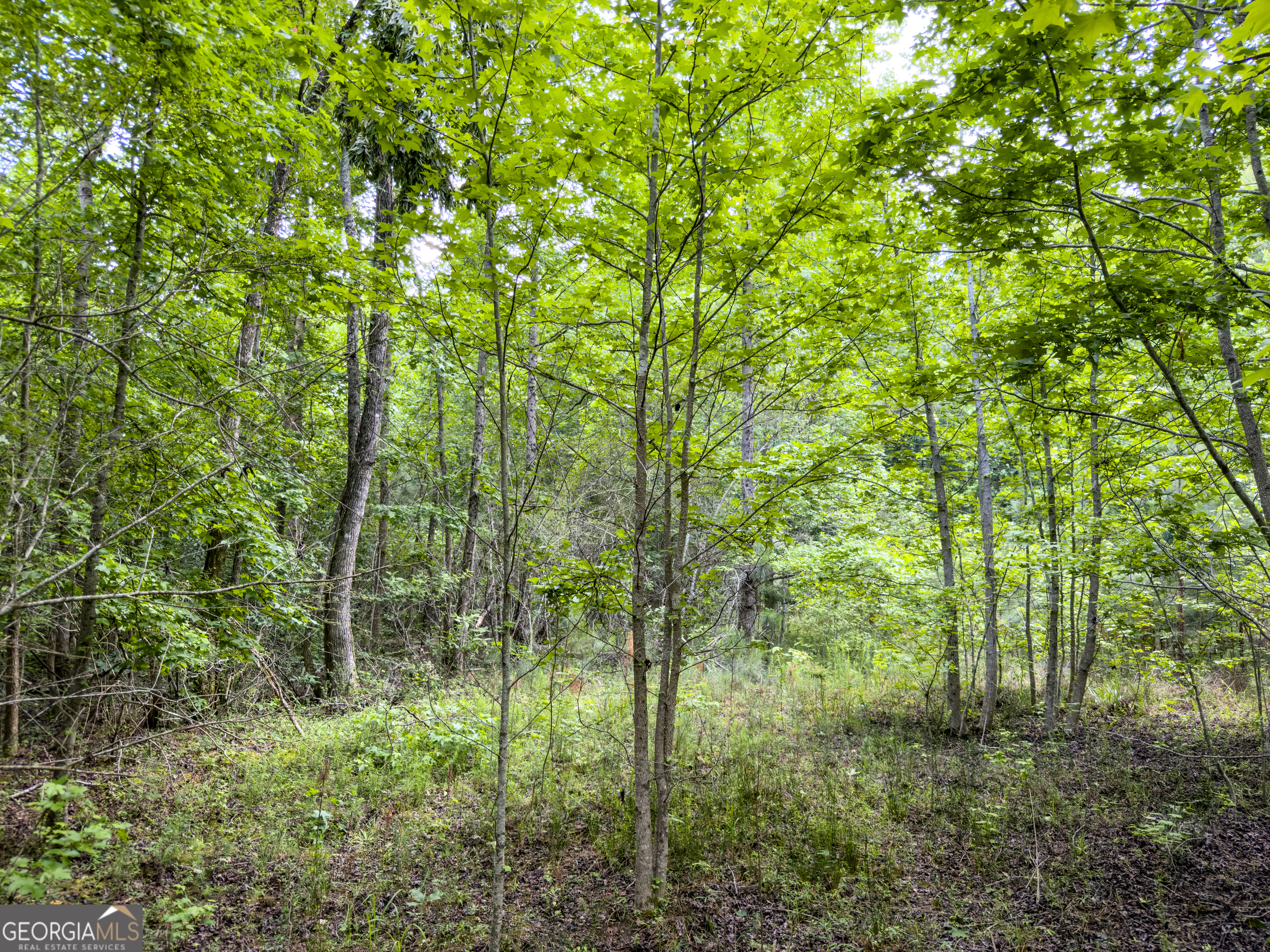 0 John Trammell Road Luthersville, GA 30251 - Photo 12 of 19