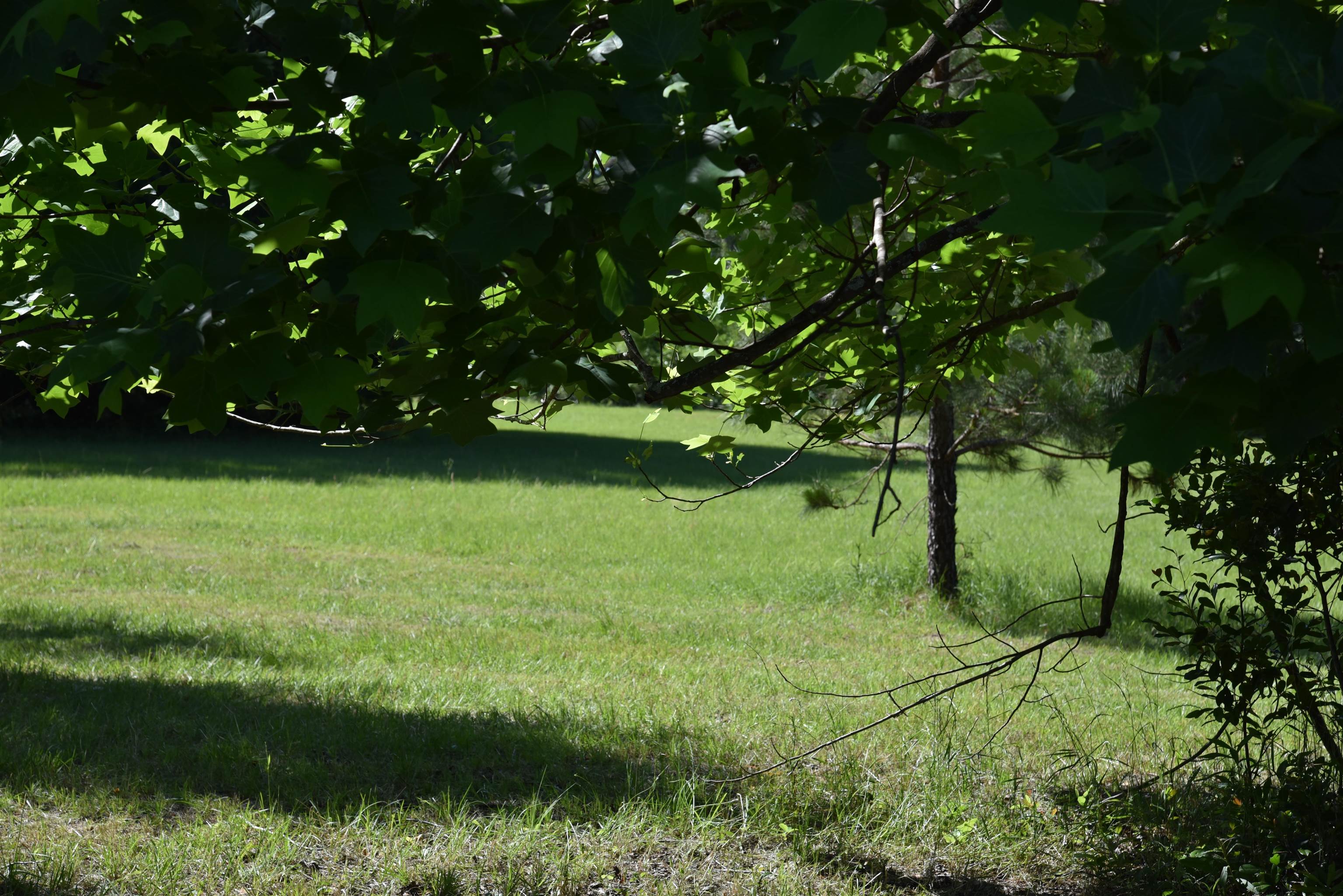 Solomon Dairy Road Quincy, FL 32352 - Photo 18 of 36