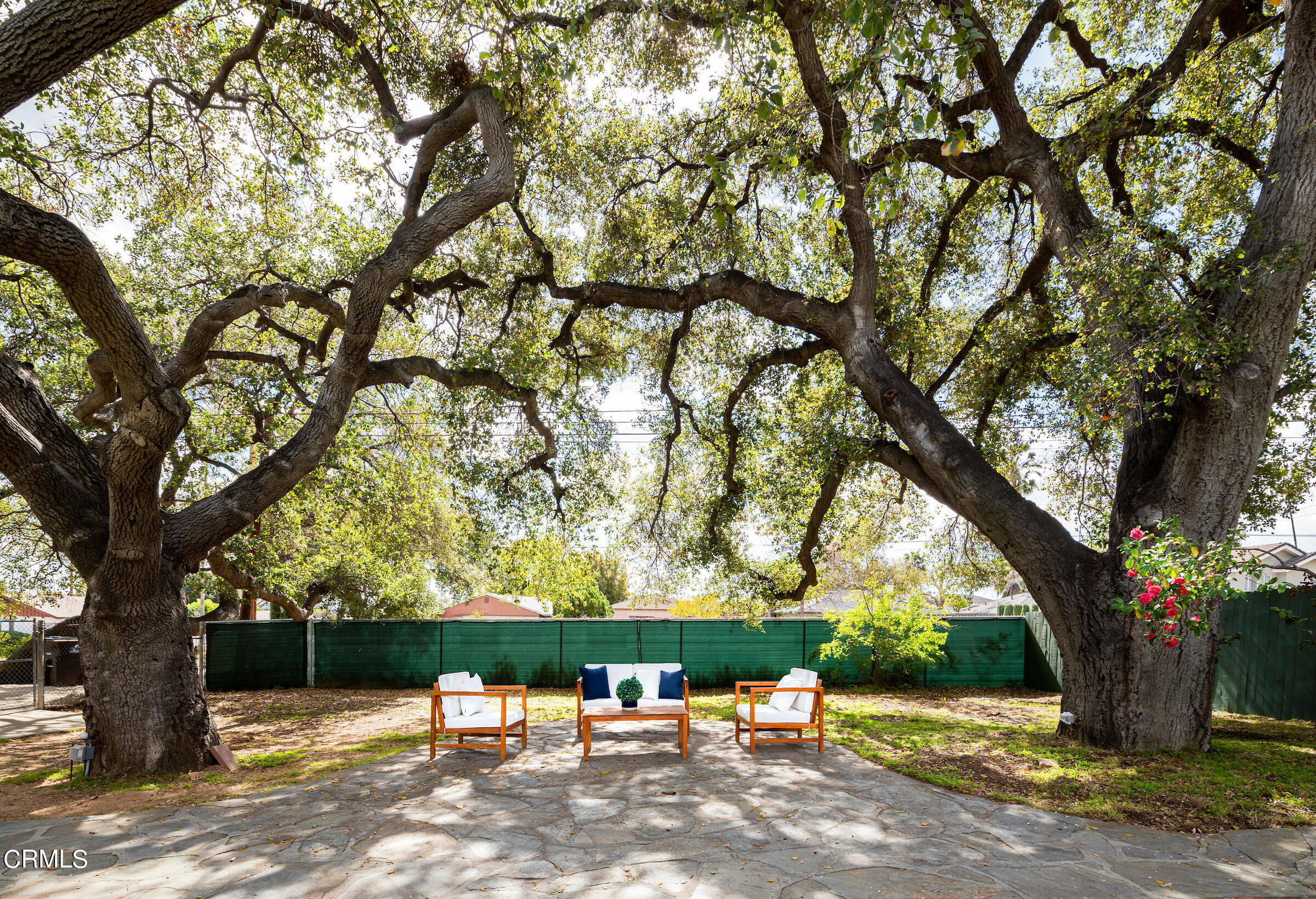 1673 Coolidge Avenue Altadena, CA 91001 - Photo 35 of 59 a view of a yard with plants and trees
