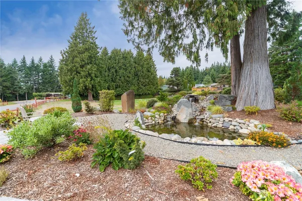 a view of a garden with a fountain