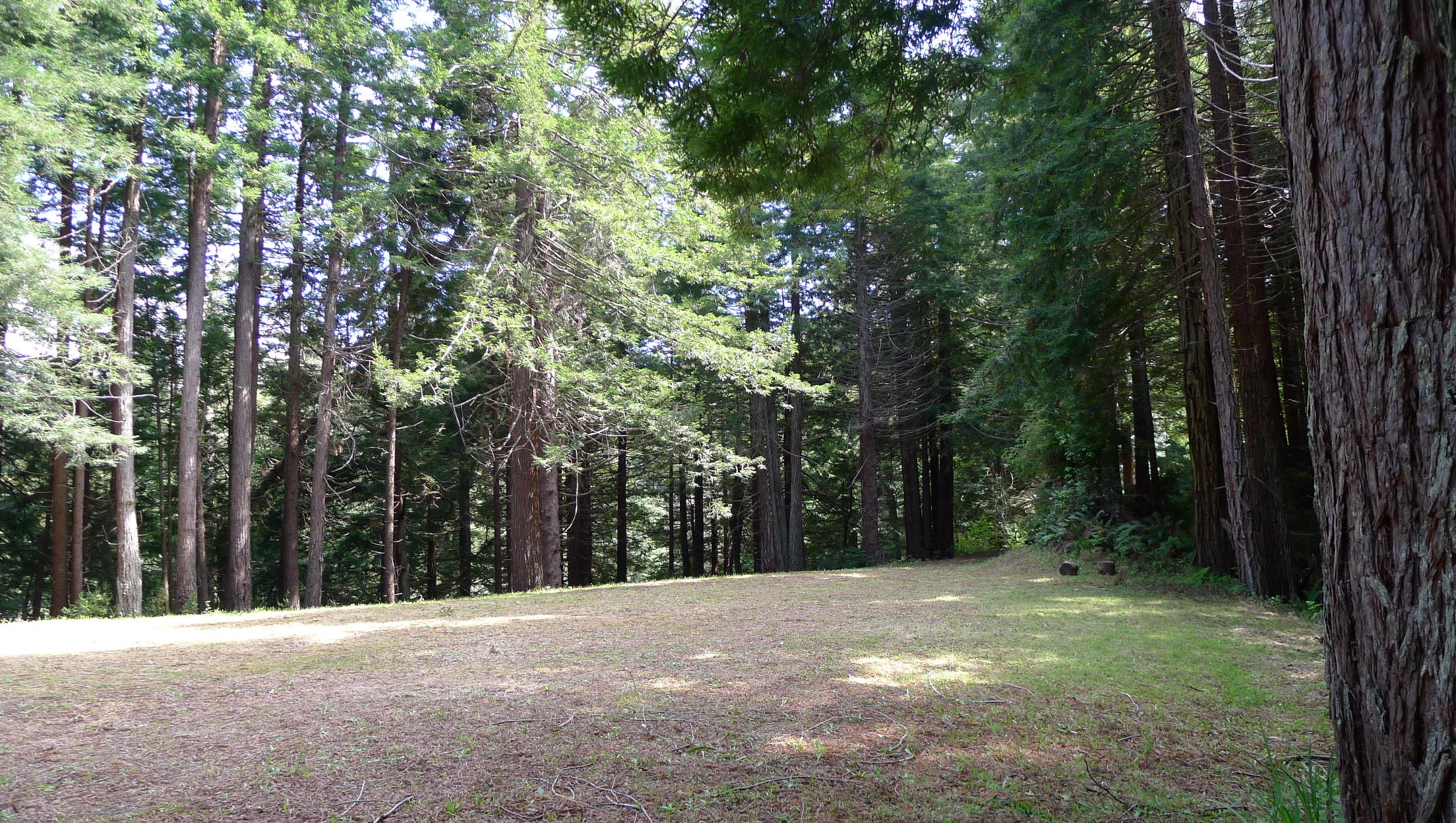 120 May Road Eureka, CA 95503 - Photo 9 of 22 building site