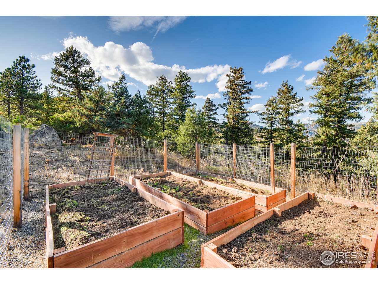 1069 Brook Road Boulder, CO 80302 - Photo 28 of 38 Fenced raised bed garden