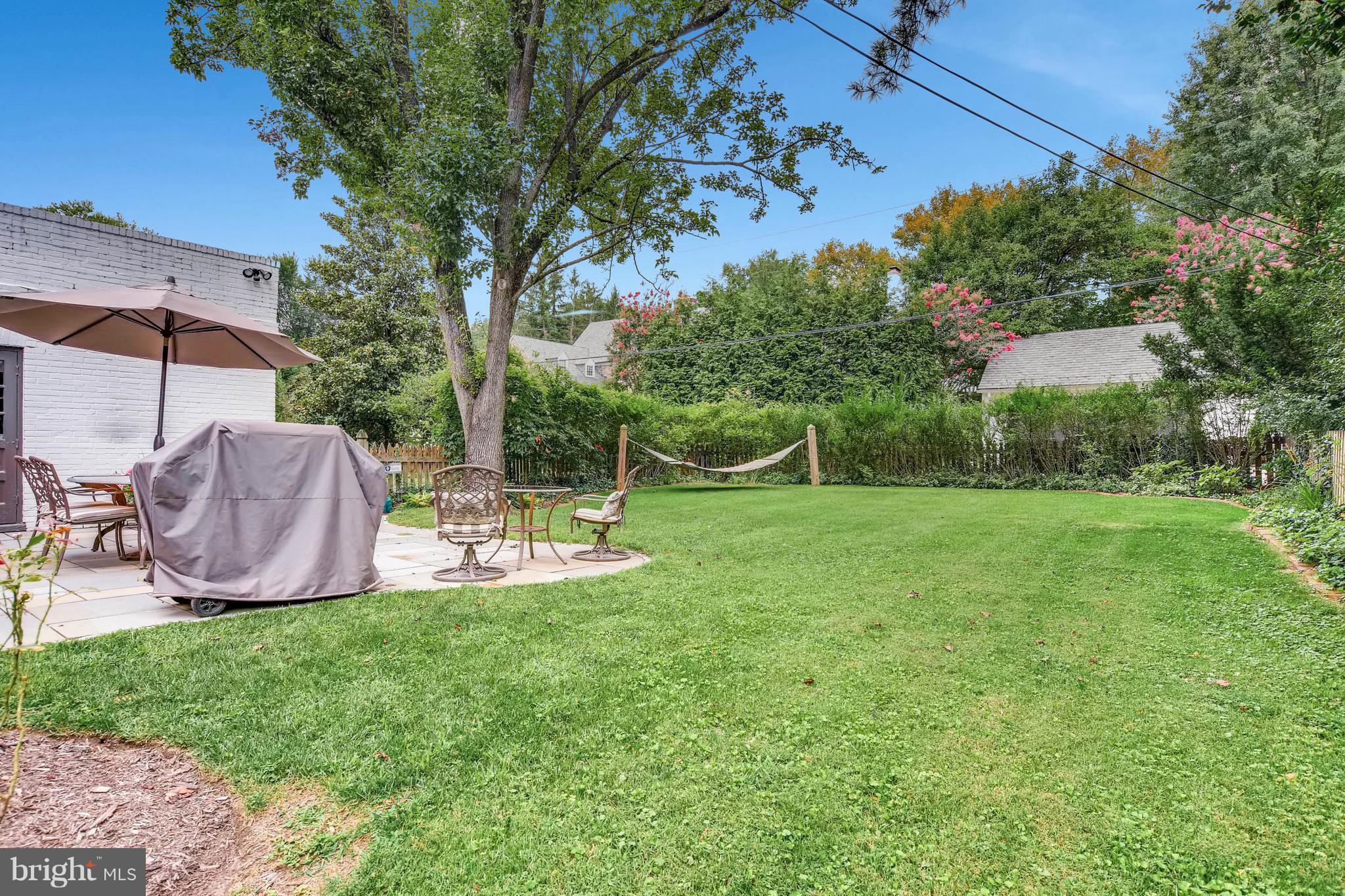 106 Enfield Road Baltimore, MD 21212 - Photo 25 of 27 a view of a backyard with table and chairs potted plants and large tree