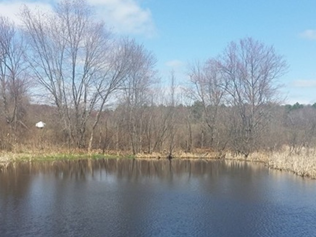 0 Fuller Street Ludlow, MA 01056 - Photo 3 of 4