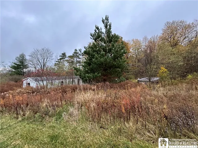 $29,900 | 6376 Cemetery Road, Ripley, NY 14775