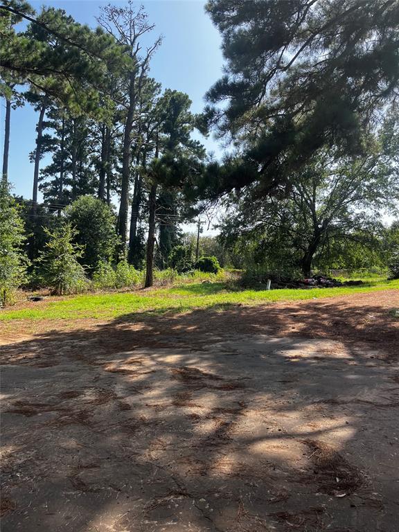 242 An County Road, Unit 4221 Palestine, TX 75801 - Photo 2 of 4 Cleared land area with natural tree surrounds